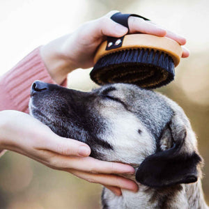 Fell- und Pfotenpflege - Calou - Leben mit Hund und Katze