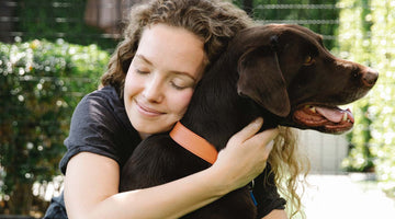 10 Geschenkideen für Hundebesitzer