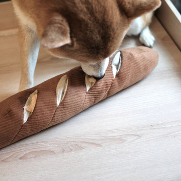 Welches Schnüffelspielzeug passt zu meinem Hund?