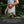 Laden Sie das Bild in den Galerie-Viewer, Hip Bag &quot;Alpha 360 Terracotta&quot;
