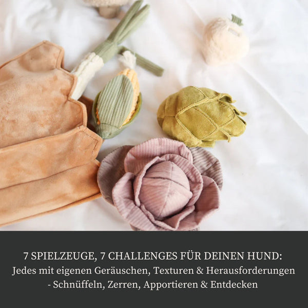 Großes Beschäftigungsset "Bauernmarkt"