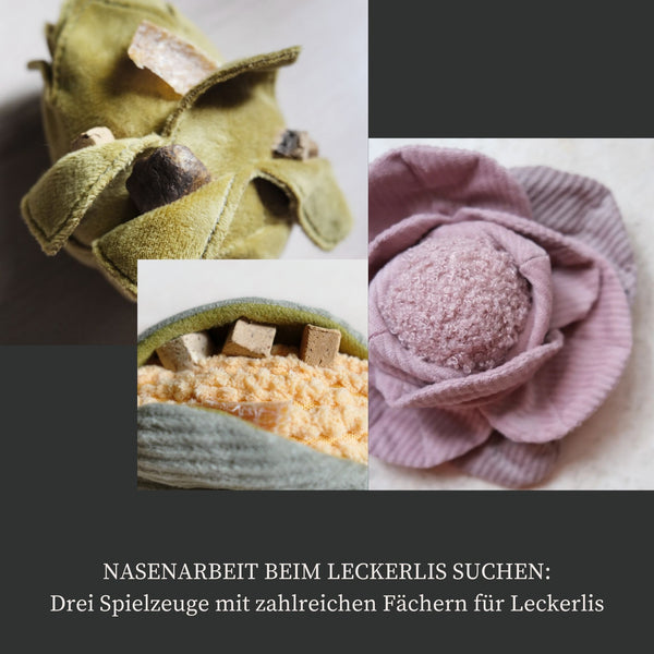 Großes Beschäftigungsset "Bauernmarkt"