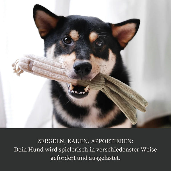 Großes Beschäftigungsset "Bauernmarkt"