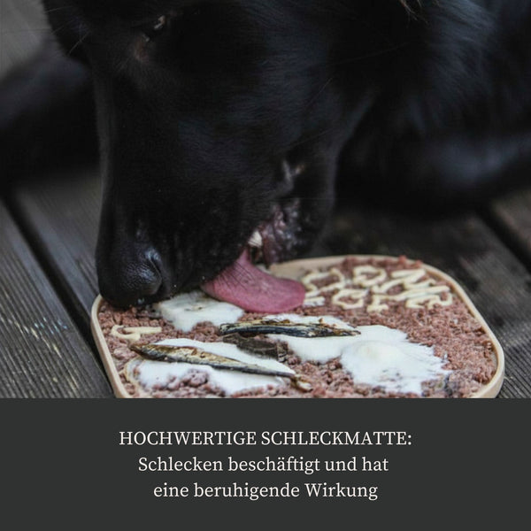 Beschäftigungs-Set "Best Of"
