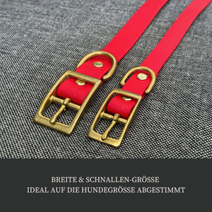 Biothane Halsband "Abendsonne"