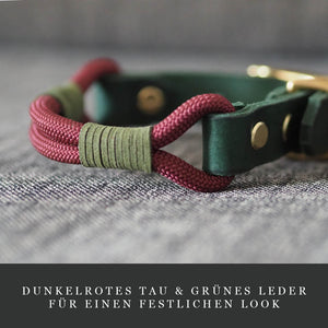 Tau X Leder Halsband "Festtag"