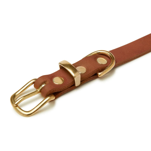 Leder Halsband "Sahara Cognac"