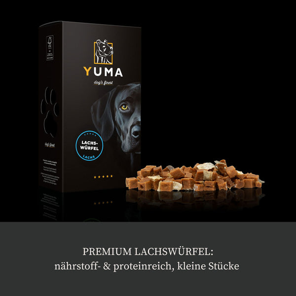 Premium Lachswürfel