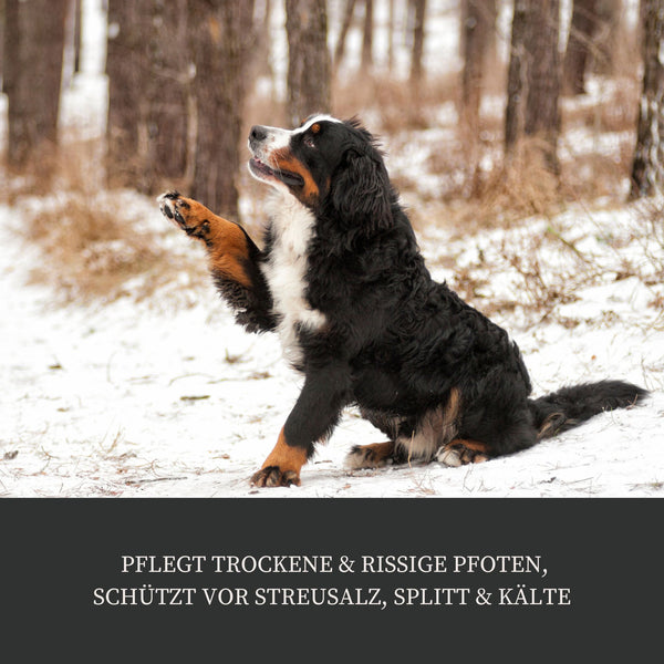 Pfotenbalsam "Natural"