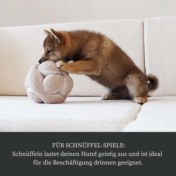 Schnüffel-Spielzeug "Monti"