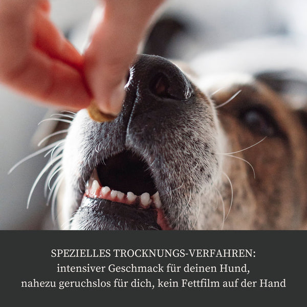 Premium Lachswürfel