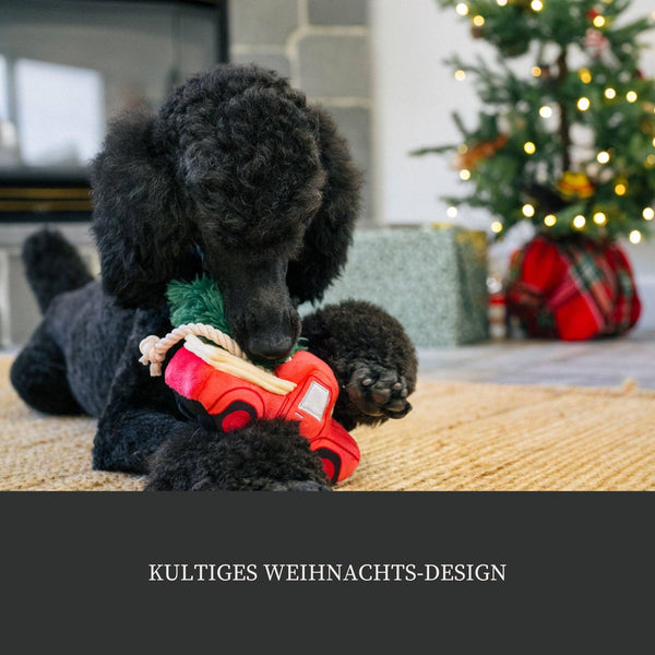 Spielzeug "Christmas Truck"