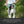 Laden Sie das Bild in den Galerie-Viewer, Hip Bag &quot;Alpha 360 Lavendel&quot;
