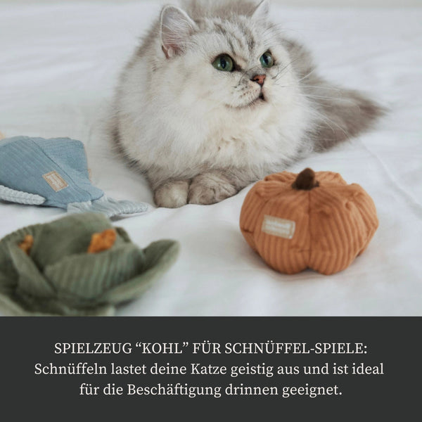 Beschäftigungs-Set "Veggie"