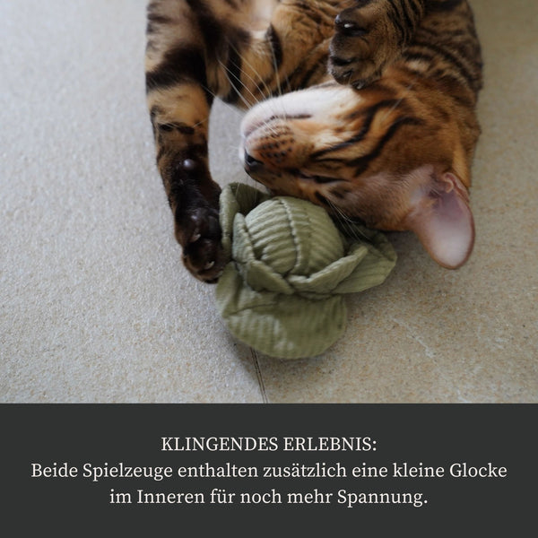 Beschäftigungs-Set "Veggie"