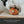 Laden Sie das Bild in den Galerie-Viewer, Beschäftigungs-Set &quot;Veggie&quot;

