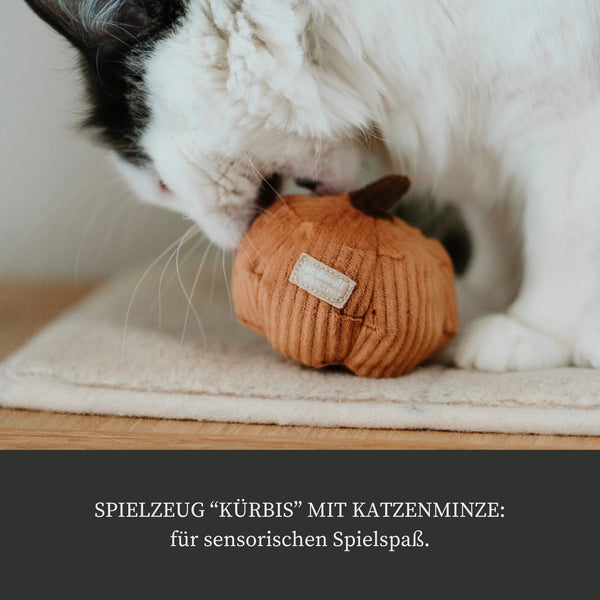 Beschäftigungs-Set "Veggie"