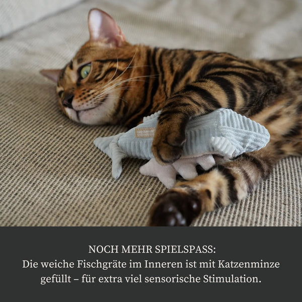 Schnüffel-Spielzeug "Forelle"