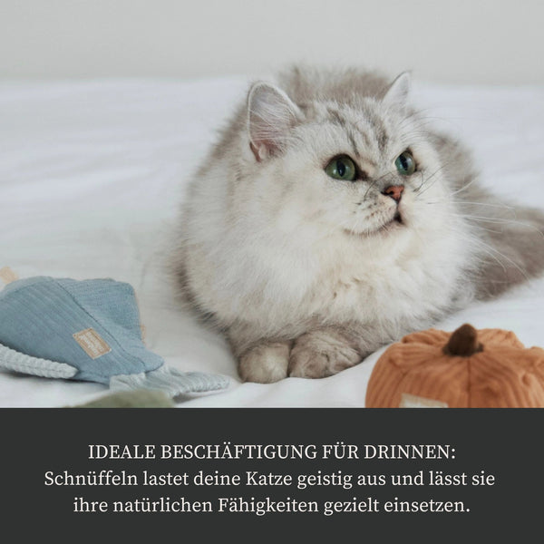 Schnüffel-Spielzeug "Forelle"
