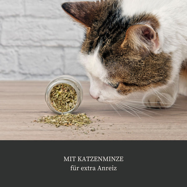 Katzenspielzeug "Christmas Birdie"