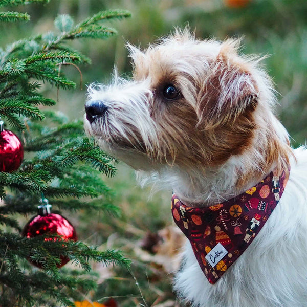 Halstuch "Weihnachtszauber"
